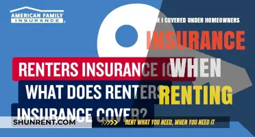 Renting and Home Insurance: What You Need to Know