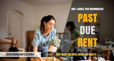 Who Pays for Roommate's Past-Due Rent?