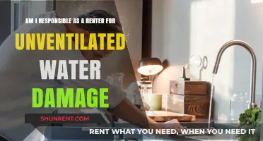Renters' Guide: Water Damage and Your Responsibilities