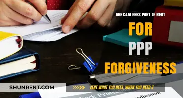 Understanding CAM Fees: Part of Rent for PPP Forgiveness?