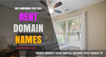 Exploring the Business of Domain Name Rental and Reselling