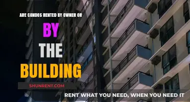 Who Rents Out Condos? Exploring the Rental Process