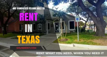 Felons and Housing in Texas: What's Allowed?