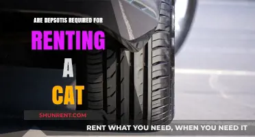 Do You Need a Deposit to Rent a Cat? Explained