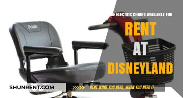Electric Chair Rentals at Disneyland: Fact or Fiction?