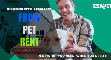 Emotional Support Animals: Free Rent, But With Conditions