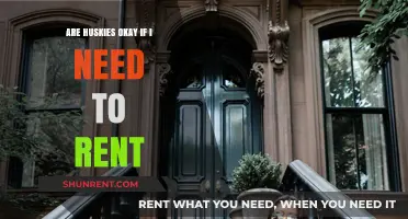 Renting with a Husky: What You Need to Know