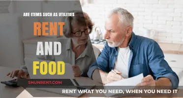 What Are Utilities, Rent, and Food Expenses?