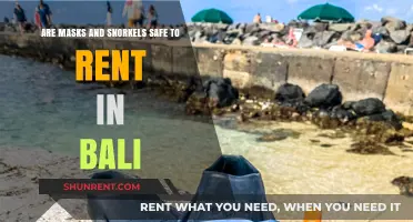 Renting Snorkeling Gear in Bali: Safe or Not?