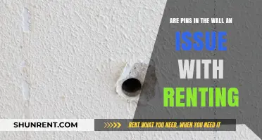 Pin Holes: Rental Decorating and Repairing Walls