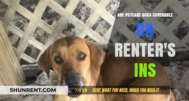 Are Potcakes Covered by Renter's Insurance?