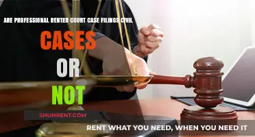 Renter Court Case Filings: Civil or Not?