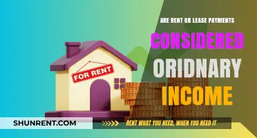 Rent and Lease Payments: Ordinary Income or Not?