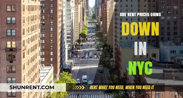 Is NYC Rent Finally Dropping? Trends and Insights for 2023