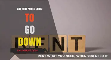 Will Rent Prices Drop Soon? Analyzing the Housing Market Trends