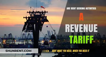 Rent-Seeking Activities: Are They Disguised as Revenue Tariffs?