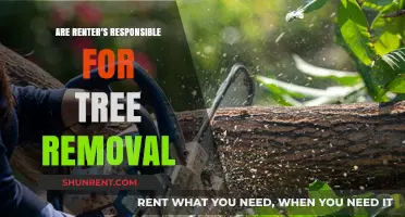 Who Pays for Tree Removal: Renter's Responsibility Explained