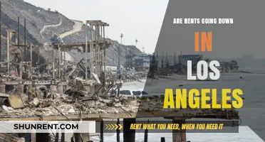 Are LA Rents Finally Dropping? Trends and Insights for Renters