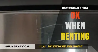 Fridge Scratches: What Renters Need to Know