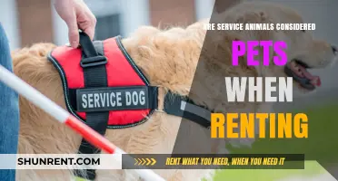 Service Animals vs. Pets: Understanding Rental Rights and Regulations