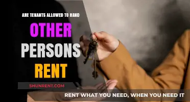 Who Pays the Rent? Understanding Tenant Payment Options