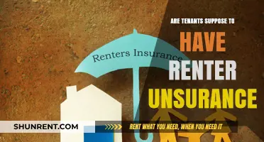 Should Tenants Have Renter's Insurance? Understanding Your Coverage Needs