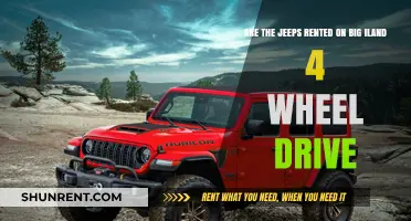 Jeep Rentals on Big Island: 4-Wheel Drive Adventures