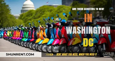 Scooter Rental Options in Washington, DC