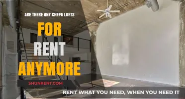 Affordable Loft Rentals: A Thing of the Past?