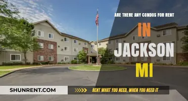 Condos for Rent in Jackson, MI: What's Available?
