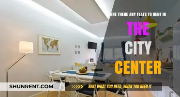 Renting in the City Center: Any Flats Available?