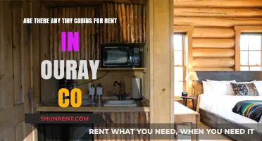 Cozy Cabins in Ouray, Colorado: A Tiny Retreat