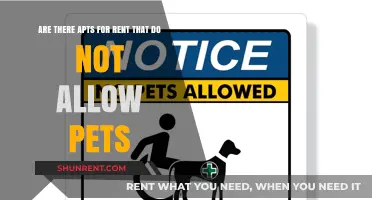 Pet-Free Rentals: Finding Apartments Without Pets Allowed