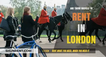 Exploring London: Bicycle Rental Options for Tourists and Locals