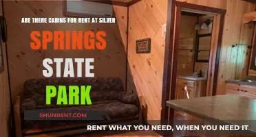 Cabins at Silver Springs: Renting Options