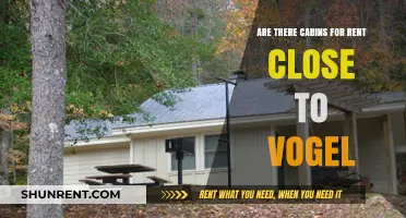Cabins for Rent: Vogel's Closest Options