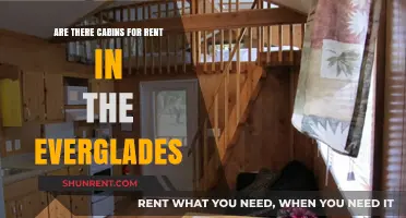 Everglades Cabin Rentals: A Unique Vacation Experience