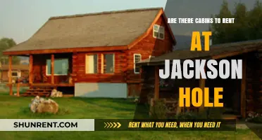 Cabins for Rent: The Ultimate Jackson Hole Experience