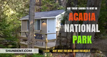 Cabins in Acadia: Where to Rent and What to Expect