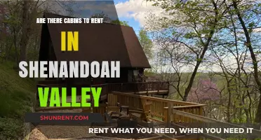 Cabins for Rent in Shenandoah Valley: A Nature Lover's Dream