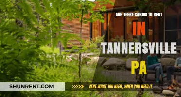 Cabins in Tannersville, PA: A Relaxing Retreat