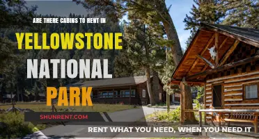 Yellowstone Cabins: Where to Stay and Play