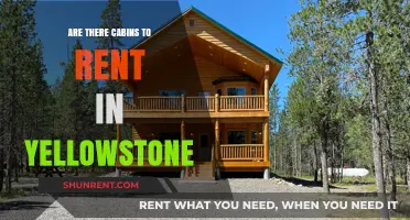 Discover Cozy Cabins for Rent in Yellowstone National Park