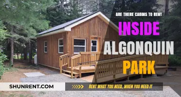 Cabins for Rent: Explore Algonquin Park's Hidden Gems
