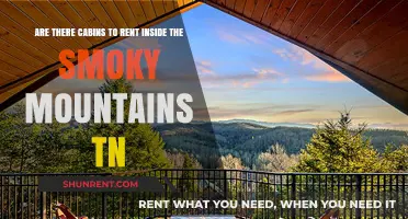 Cabins in Smoky Mountains, TN: Where to Stay?