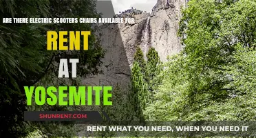 Renting Electric Scooters at Yosemite: Is it Possible?