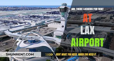 LAX Lockers: Renting Options and Availability