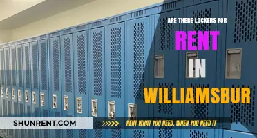 Renting Lockers in Williamsburg: Your Secure Storage Solution Guide