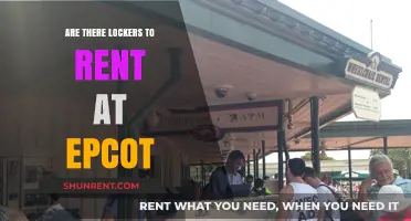 Epcot Locker Rentals: Availability, Cost, and Convenience Guide