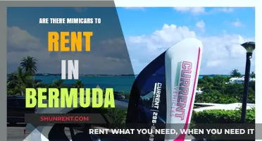 Renting Mimicars in Bermuda: Availability, Costs, and Travel Tips
